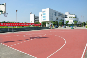 Light Basketball Court